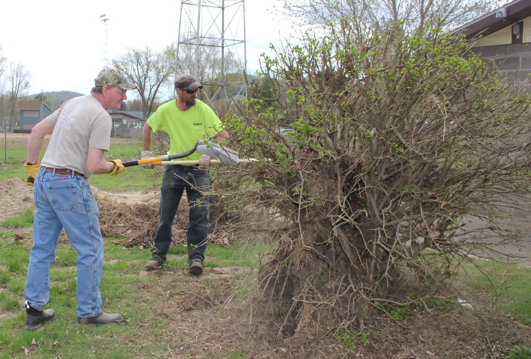 Volunteer work